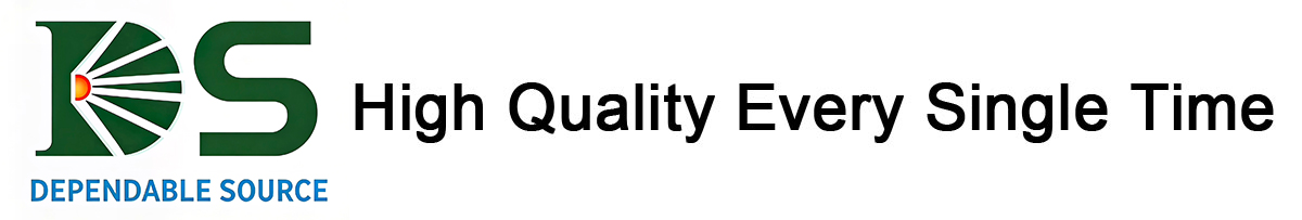 DS Industries (Shenzhen) Co., Ltd.